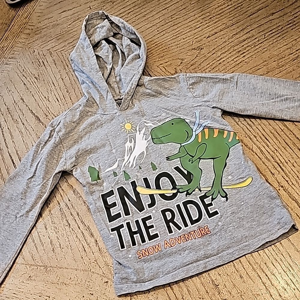 Boys dino Hooded Long sleeve shirt size 6